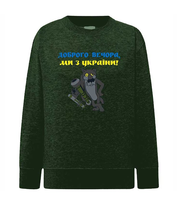 Sweatshirt (sweater) for girls Good evening, we are from Ukraine, khaki, 92/98cm