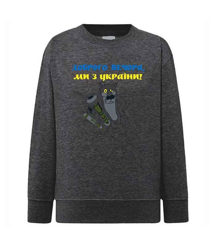 Sweatshirt (sweater) for girls Good evening, we are from Ukraine, graphite, 92/98cm