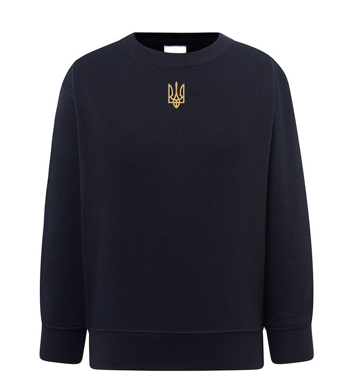 Trident embroidered sweatshirt (sweater) for boys, dark blue, 92/98cm