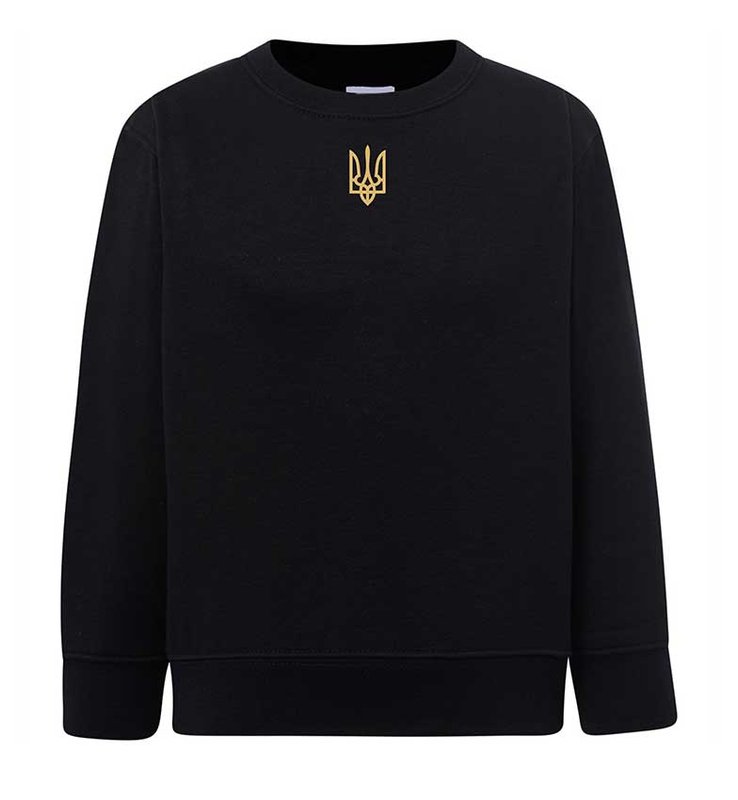Men's jacket (sweatshirt) Trident embroidered, black, S