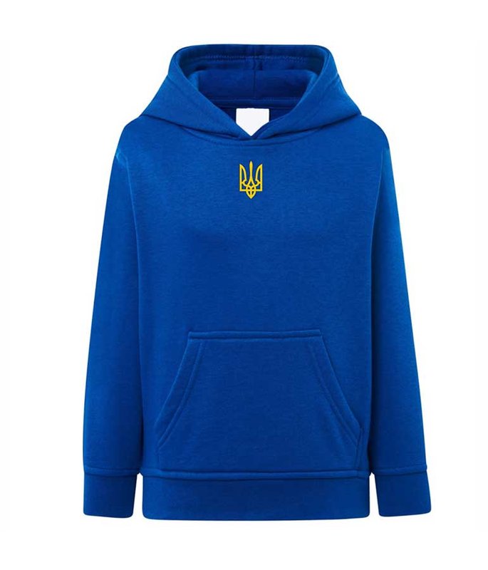 Hoodie for a girls Trident embroidered, blue, 7-8 years old
