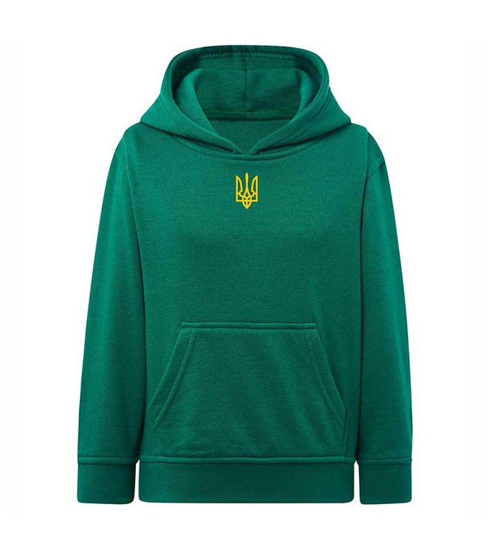 Hoodie for a boy Trident embroidered, green, 7-8 years old