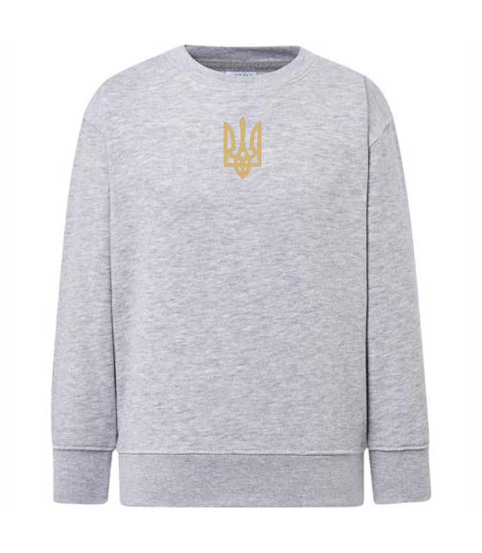 Trident embroidered sweatshirt (sweater) for girls, gray, 92/98cm