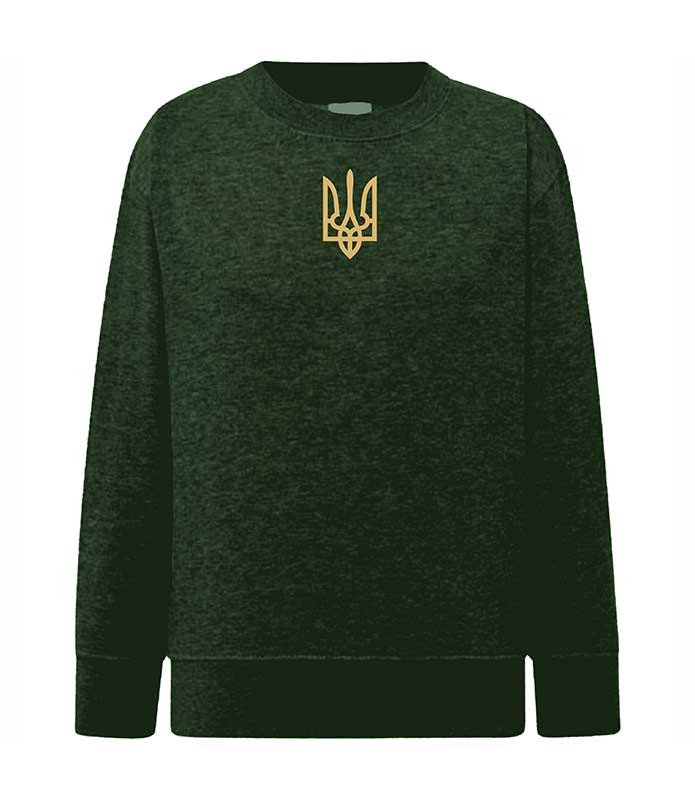 Trident embroidered sweatshirt (sweater) for girls, khaki, 92/98cm