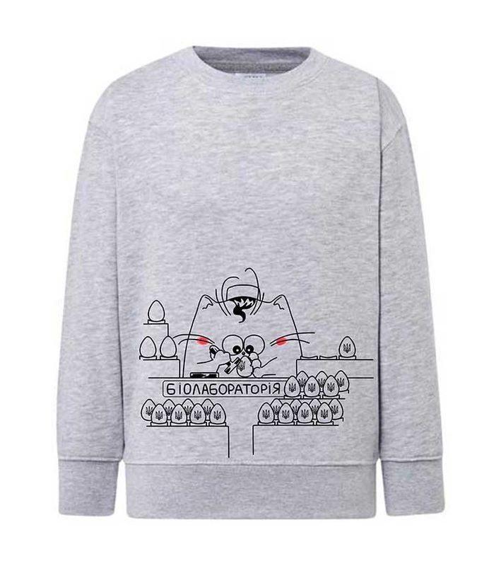 Sweatshirt (sweater) for children Biolaboratory, gray, 92/98cm