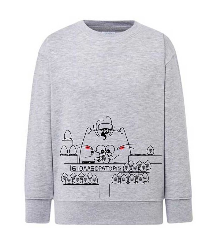 Bluza (sweter) dla dzieci Biolaboratorium, szara, 92/98cm