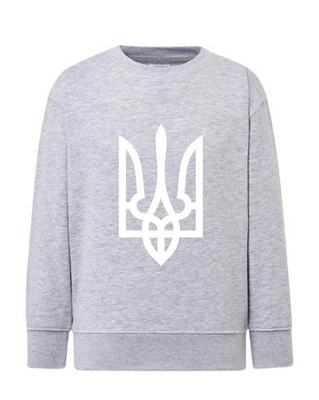 Sweatshirt (sweater) for girls Trident white, gray, 92/98cm