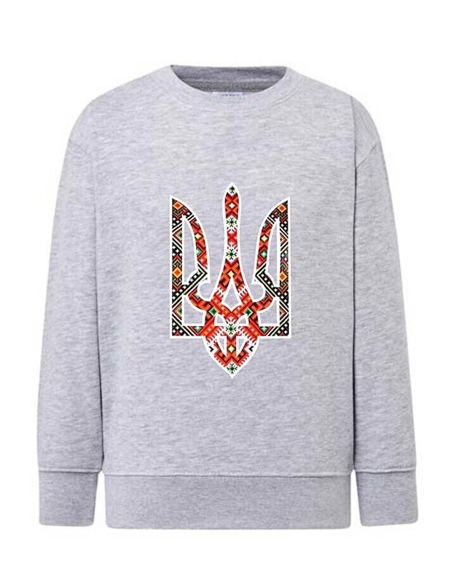 Sweatshirt (sweater) for boys Trident embroidered, gray, 92/98cm
