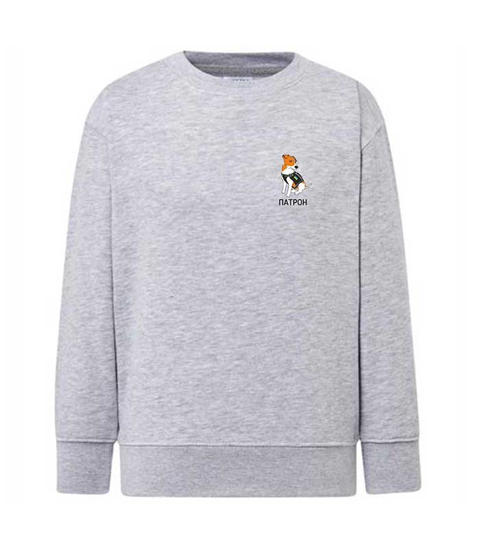 Sweatshirt (sweater) for boys with Patron dog embroidery, gray, 92/98cm