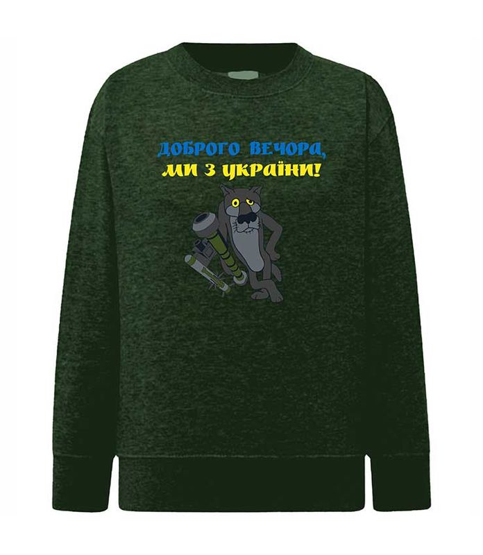 Sweatshirt (sweater) for girls Good evening, we are from Ukraine, khaki, 92/98cm