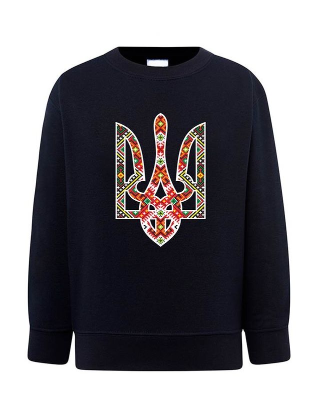 Sweatshirt (sweater) for boys Trident embroidered, dark blue, 92cm
