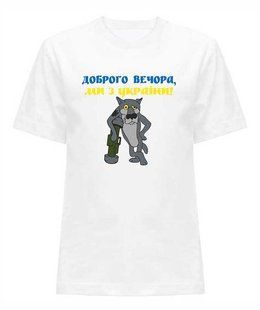 Чоловіча патріотична футболка Доброго вечора, біла, S