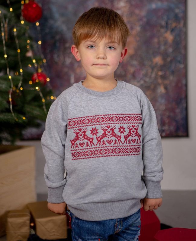 Sweatshirt for boys "Olenyatko" gray, 92/98cm