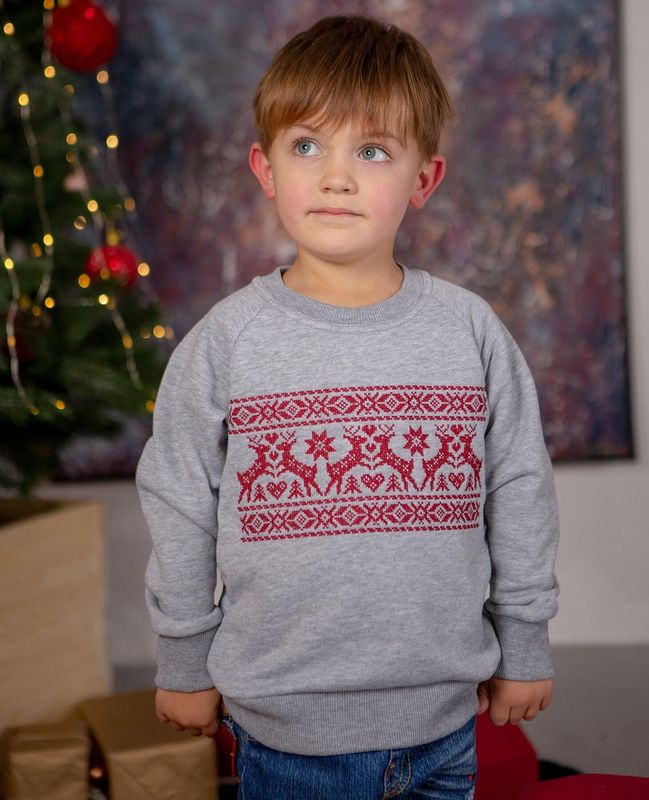 Sweatshirt for boys "Olenyatko" gray, 92/98cm