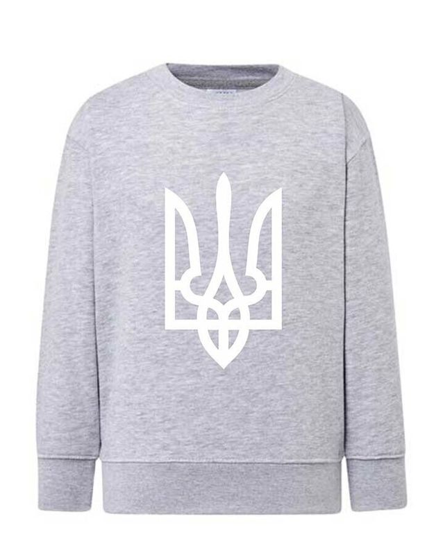 Sweatshirt (sweater) for boys Trident white, gray, 92/98cm