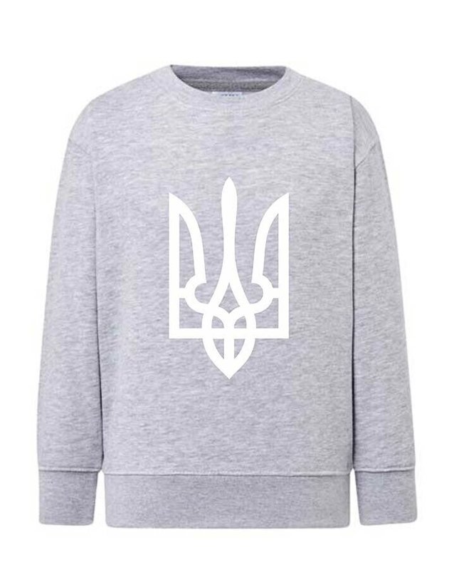 Sweatshirt (sweater) for boys Trident white, gray, 92/98cm