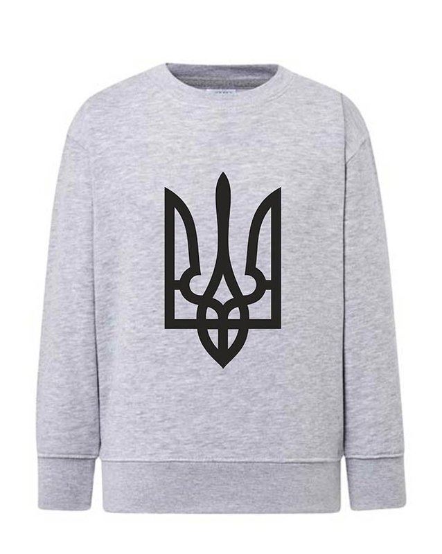 Sweatshirt (sweater) for girls Trident black, gray, 92/98cm