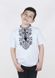 Embroidered t-shirt for a boy Sokal, black embroidery, white, 80/86cm