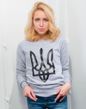 Women's jacket (sweatshirt) with the print "Black Trident", gray color, 2XL