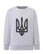 Sweatshirt (sweater) for boys Trident black, gray, 92/98cm