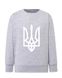 Sweatshirt (sweater) for boys Trident black, gray, 92/98cm