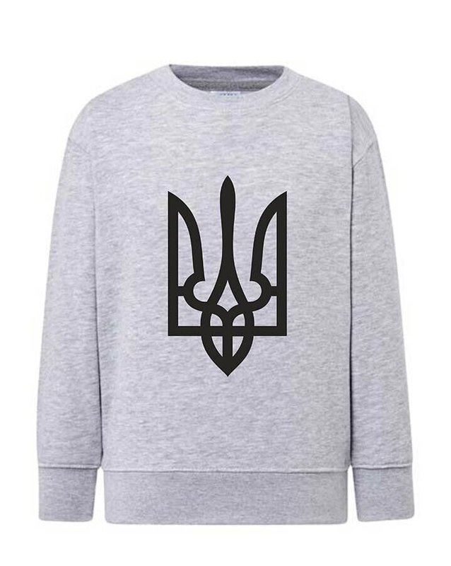 Sweatshirt (sweater) for boys Trident black, gray, 92/98cm