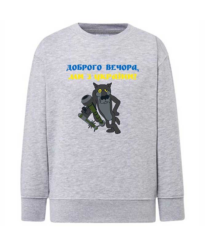 Sweatshirt (sweater) for girls Good evening, we are from Ukraine, gray, 92/98cm