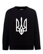 Sweatshirt (sweater) for boys Trident, black, 92/98cm