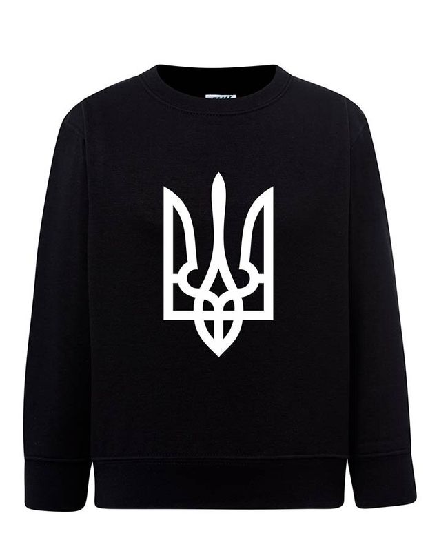 Sweatshirt (sweater) for boys Trident, black, 104/110cm