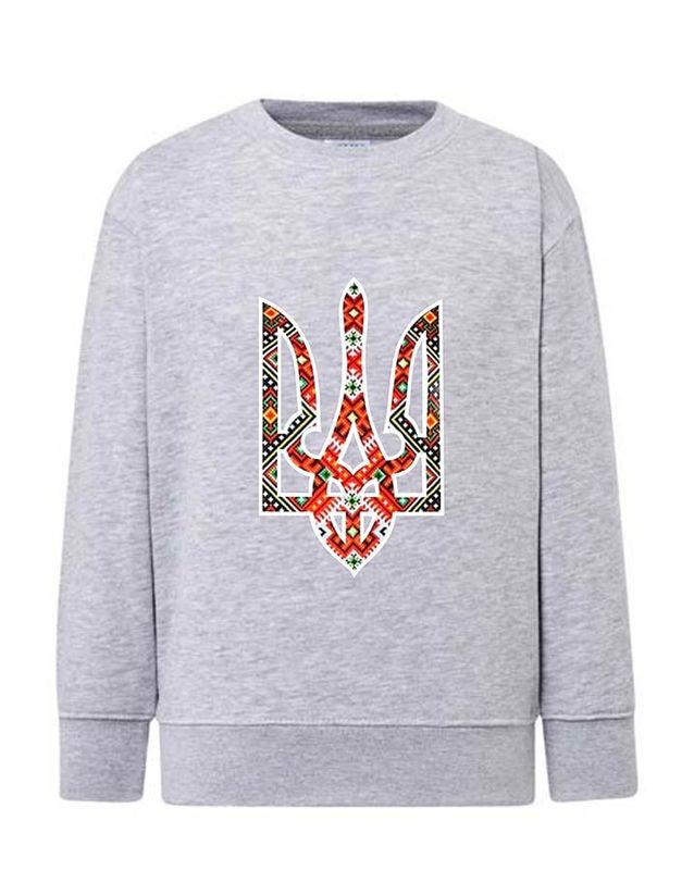 Sweatshirt (sweater) for girls Trident embroidered, gray, 92/98cm