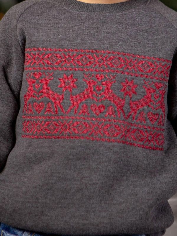 Sweatshirt for boys "Olenyatko" graphite, 92/98cm