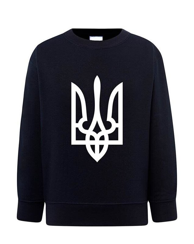 Sweatshirt (sweater) for girls Trident, dark blue, 104/110cm